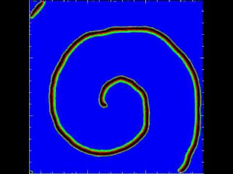 Spiral wave in the heterogeneous Kuramoto excitable model.