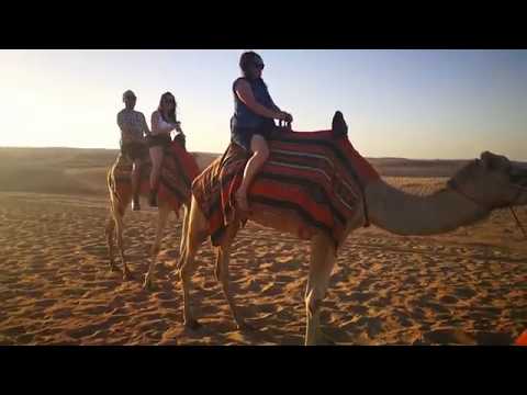 Camel ride in dubai deserts # private tour guide #Jose Gomez