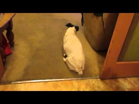 Making Kate's Vriska Arm: Intermission