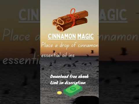 Money Magnet - Cinnamon Magic 1 - Ancient Magic For Receiving money  #shorts