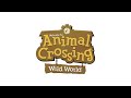 Animal Crossing: Wild World / City Folk - 2am / 02:00 (1 Hour Extended)