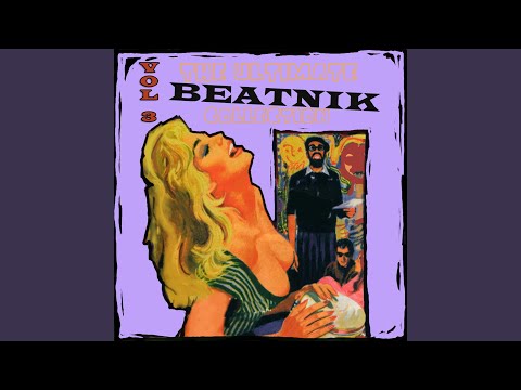 Beatnik Fly