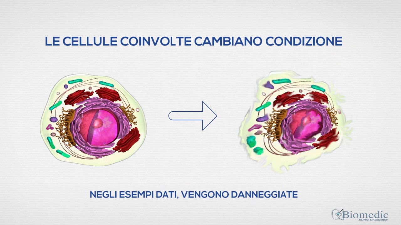 Sebastiano Marchetta-12