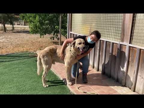 Vídeo de ZORBA