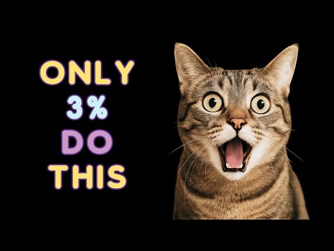 12 Things Cats Love and Only 3% of Parents Actually Do! 🙀