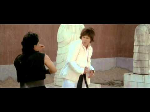 Kung Pow! Enter the Fist: Enjoy the Paralyzer!