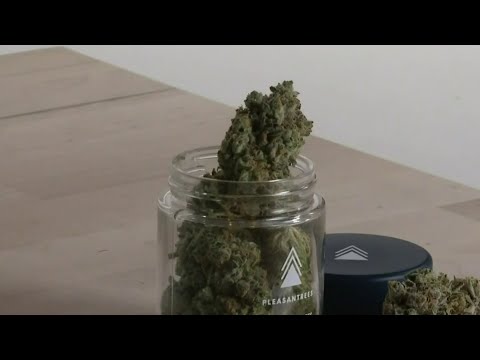 Local 4 News at 5 -- April 5, 2022