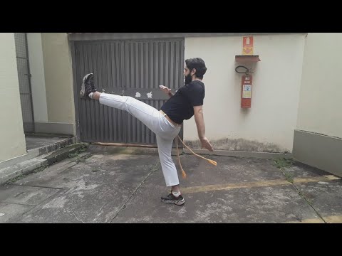 Movimentos Básicos da Capoeira