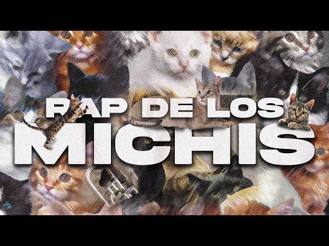 RAP DE LOS MICHIS - PABLO BRUSCHI