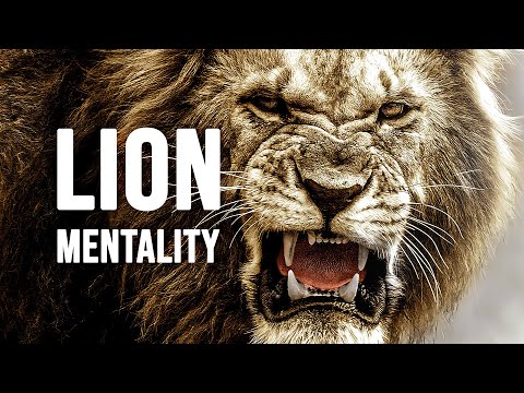 LION MENTALITY - Mot