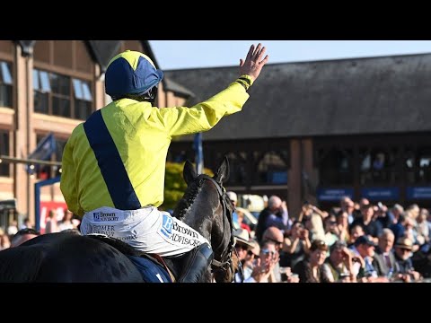 MARINE NATIONALE oozes class at Punchestown