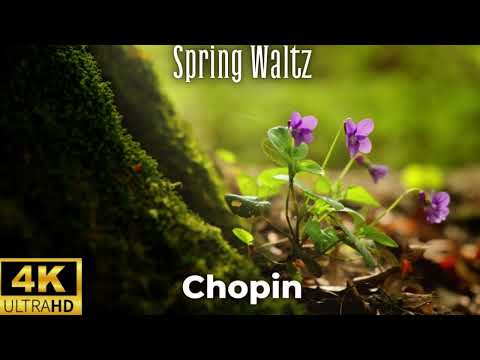 Frédéric Chopin Spring Waltz 2 Hours: Enjoy the Most Relaxing Classical Music