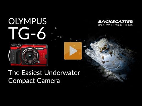 Olympus Tg 6