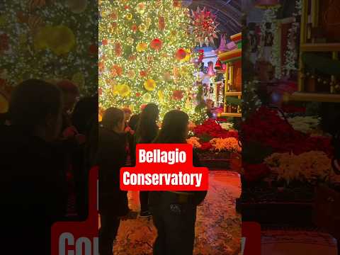 Bellagio Conservatory #BTS | Live BTS Vegas Vibes #lasvegas