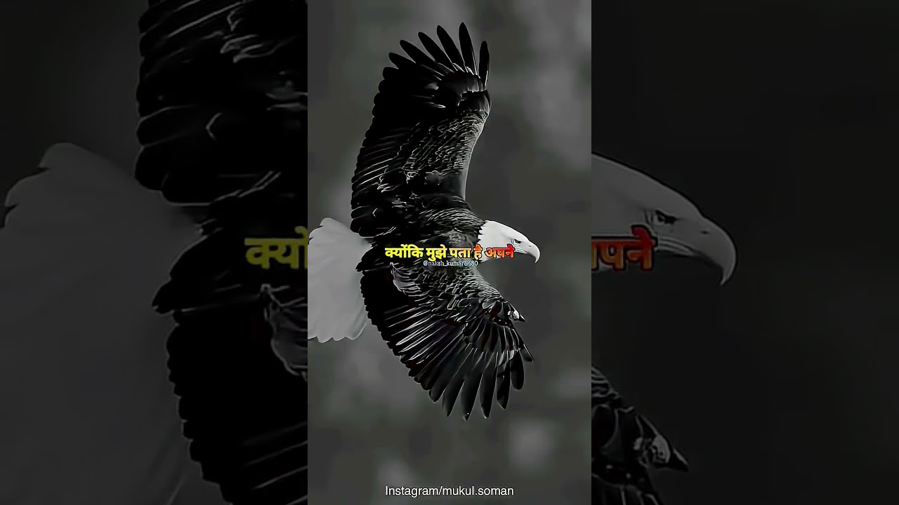 🔥 YouTube Title: 🦅 बाज की तरह उड़ान भरेंगे 🔥 Attitude Status 😈💯 | दमदार स्टेटस वीडियो