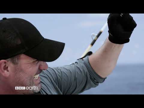 Chasing Monsters on BBC Earth