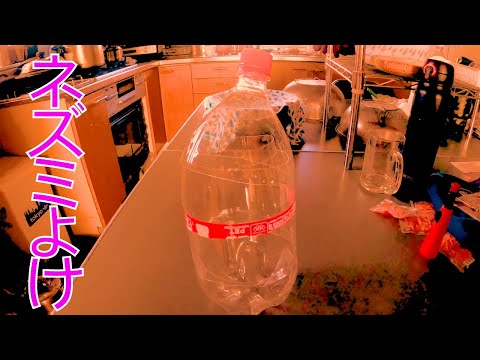 ペットボトルを使ってネズミを追い払うことができたらどうしますか?使用説明書！  庭園