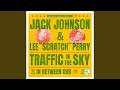 Traffic In The Sky (Subatomic Sound System Dub)