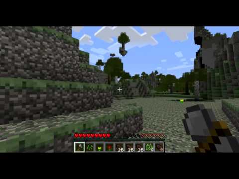 TerraFirma Craft #1 - Intro