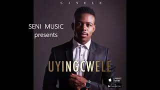 Sanele Mkhize - Uyingcwele Single