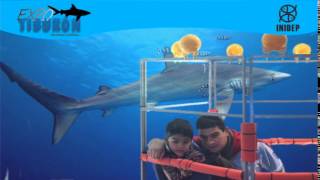 DIA 3 Expo Tiburon10