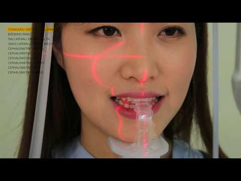 [PAPAYA PLUS]Operation