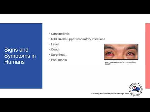 Infectious Diseases Grand Rounds: Highly Pathogenic Avian Influenza A(H5N1)