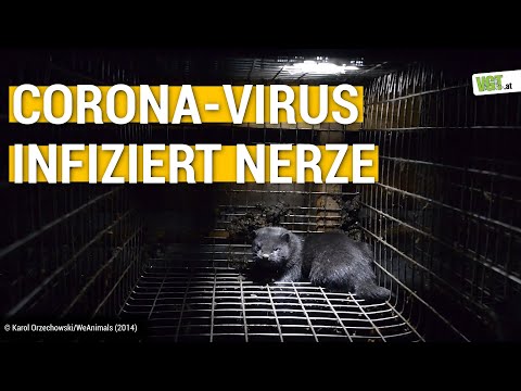 Steht das Ende der Pelzindustrie bevor?