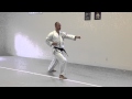 Age Uke, Gyaku Zuki (back) | IKD Testing Syllabus videos | Shotokan Karate 2013