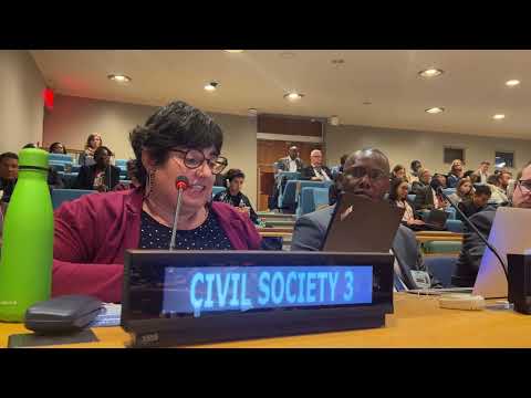 FfD Forum 2023. Panel 1 Coping with Cascading crises. Intervention by Iolanda Fresnillo.