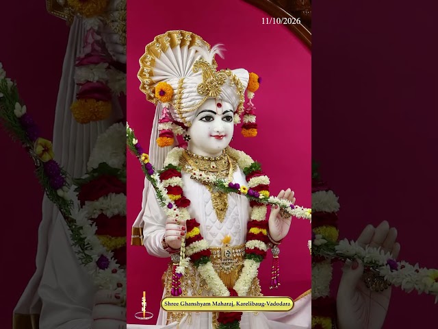 ઘનશ્યામ મહારાજ