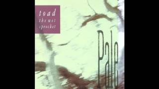 Toad The Wet Sprocket - Chile