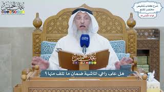4064 - هل على راعي الماشية ضمان ما تلف منها؟ - عثمان الخميس