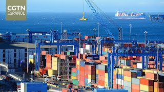 Tecnología contra la falsificación: una solución con sello chileno