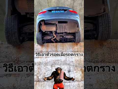 วิธีเอาตัวรอดเมื่อรถตกราง #ความรู้ #facts #น่าสนใจ