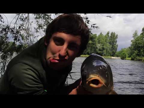 Karpfenangeln - Carps in Scene - Carp Invasion