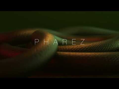 Pharez - Say My Name