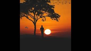 Download lagu ഞാവലൻ ചോല  കുയിലേ..... 🎶🎶🎶🎶🎶 mp3