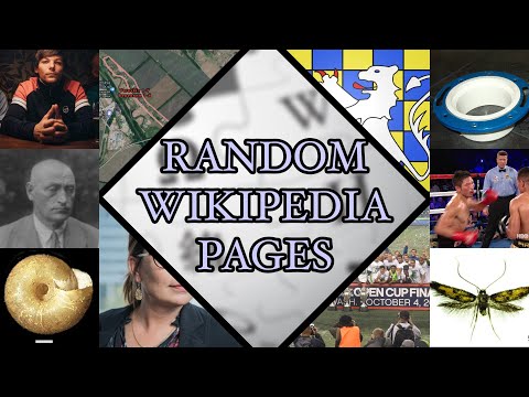 Can I Summarize 10 Random Wiki Pages In 10 Minutes?