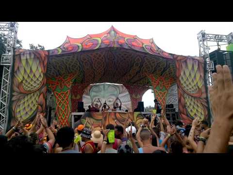 Reality Test vs. Capital Monkey na Tribe Sound 7 anos