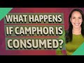 What happens if camphor is consumed?