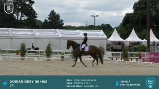 CIR de Jardy : les meilleurs moments de Dorian Grey de Hus, Emotion de Saint Val et Kheops d'Hat