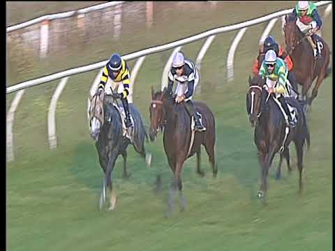 Galoppo 19/10/2017 - 5ª corsa