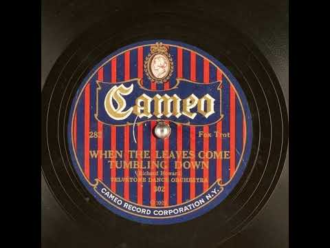 When The Leaves Come Tumbling Down - Velvetone Dance Orchestra