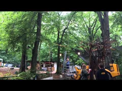 Trash The Forest 26.7.2014 (Tag 5)