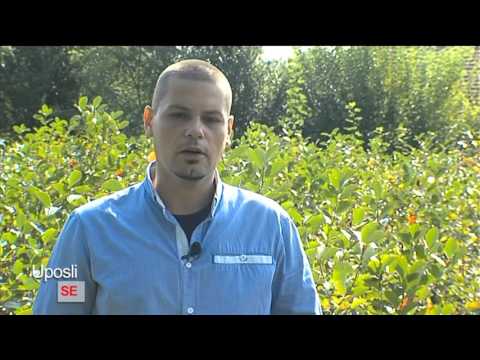 Uposli se   10. emisija  - Aronija – voće dobro za zdravlje i biznis!