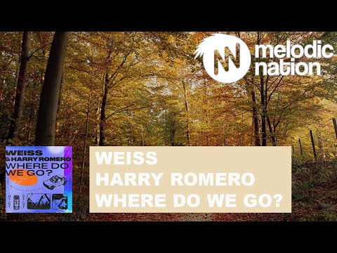 WEISS, Harry Romero - Where Do We Go?