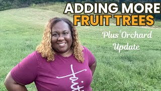 Fruit Tree Orchard Update| Adding More Fruit Trees (Zone 7)