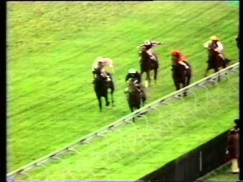 1973 William Hill Dewhurst Stakes