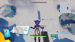 ちょっとフォトナ